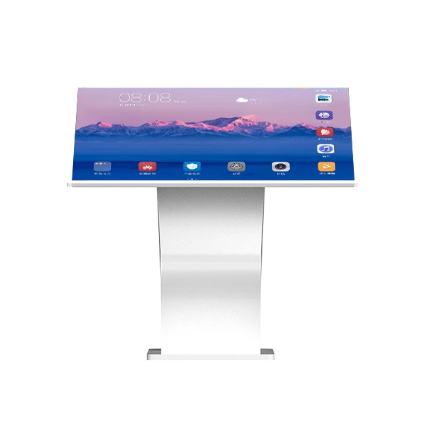 50" Interactive Touch Kiosk